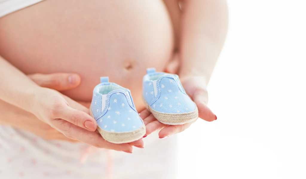 Schwangerer Bauch und Hände, die hellblaue Babyschuhe mit weißen Punkten halten.